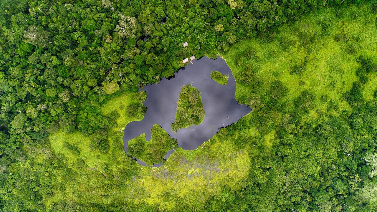 Lodge Ecoamazonia *